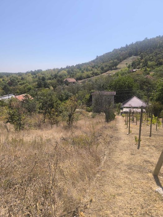 Proprietate 2.755 mp intravilan, casă P+1 din beton armat, 4 CF-uri actualizate – Ineu, Dealul Viilor