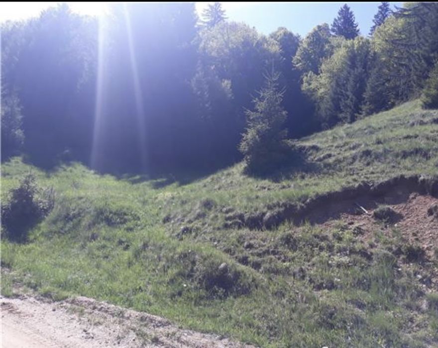 Teren intravilan Poiana Brasov