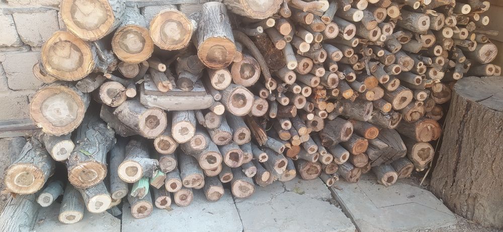 Oʻtin Sotiladi ,maydalangan va shoxlar