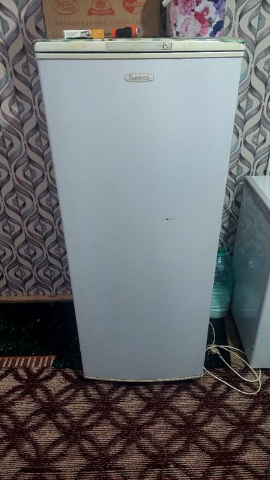 Халаделник Бирюса