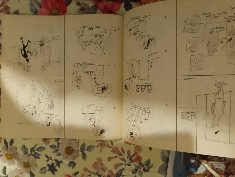 Din haz in haz . O culegere de caricaturi