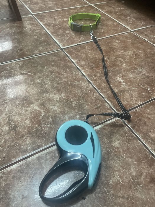 Lesa si zgarda pentru caini