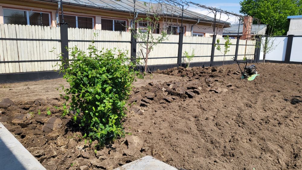 Toaletari pomi/vie/pregătiri gradini