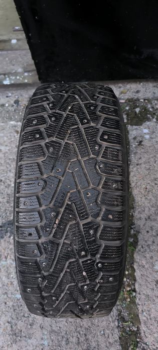 Продам резину pirelli