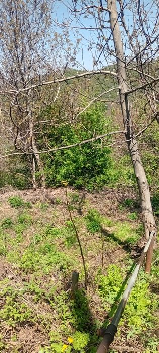 Продам участок в городе