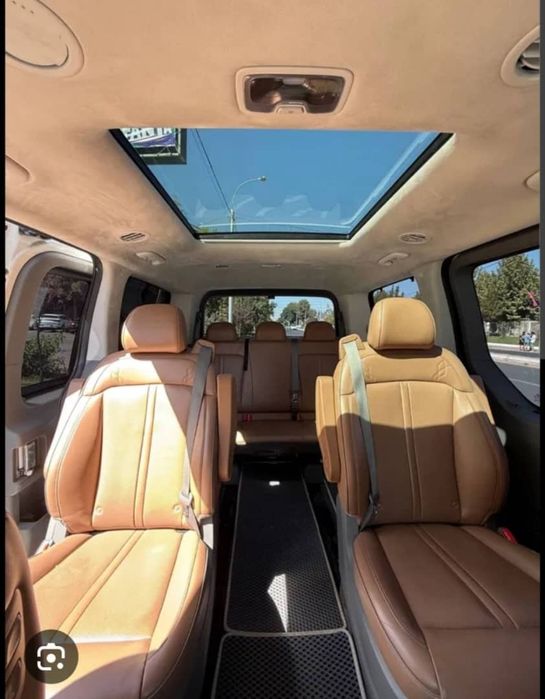 Hyundai Stariya Braun