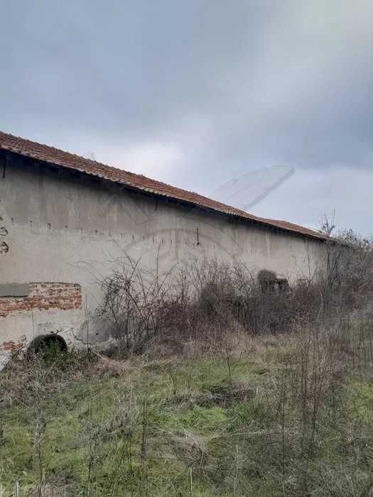 Парцел в с. Брестовица 98864