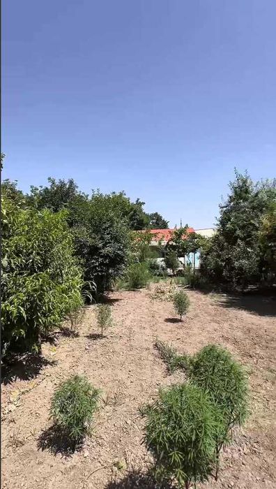 Srochno!!! Arzon narxda yer 3-4 sotix Yangi Qoyliq bozori yaqinida