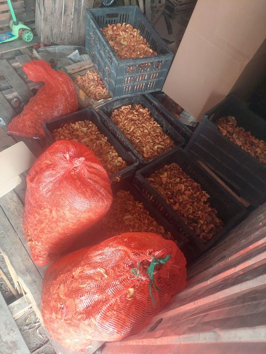 сухофрукты находимся Есике