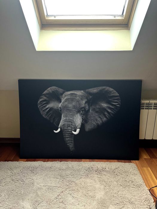 Картина Слон Икеа
