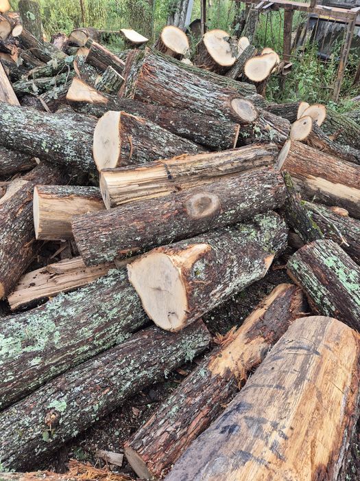 Vindem lemne de foc doar esente tari