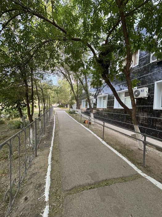 Спил деревьев, Агаш кесу, обрезка