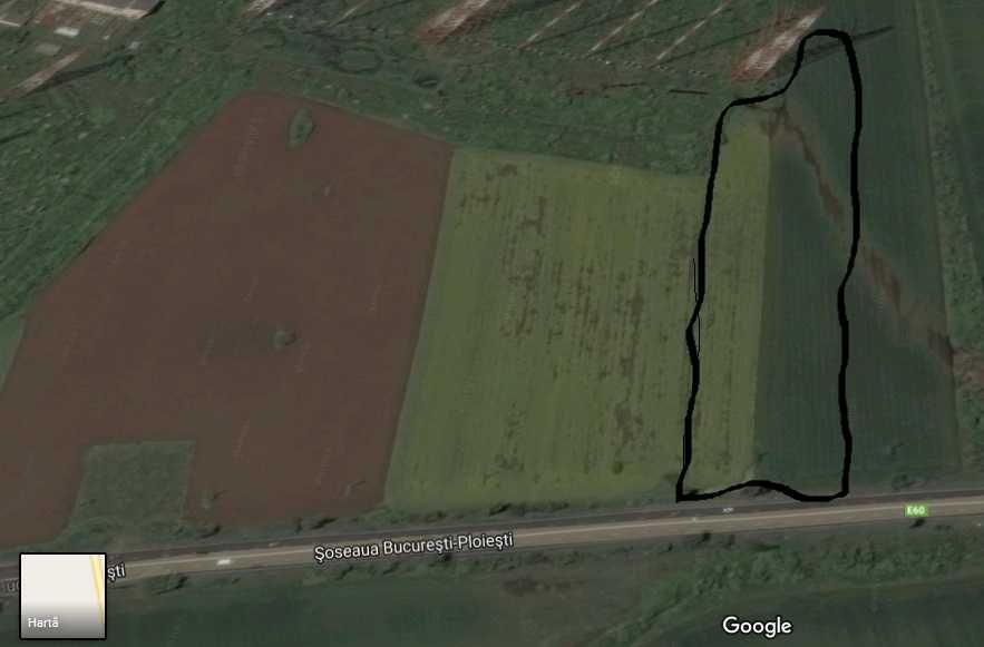 Teren 5.000 mp Ciolpani – deschidere 20 m la DN1, ideal investitie