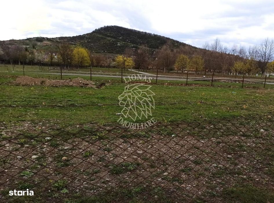 Teren intravilan 1000 mp-ideal locuinte P+4/Hala/Institutii-Viisoara