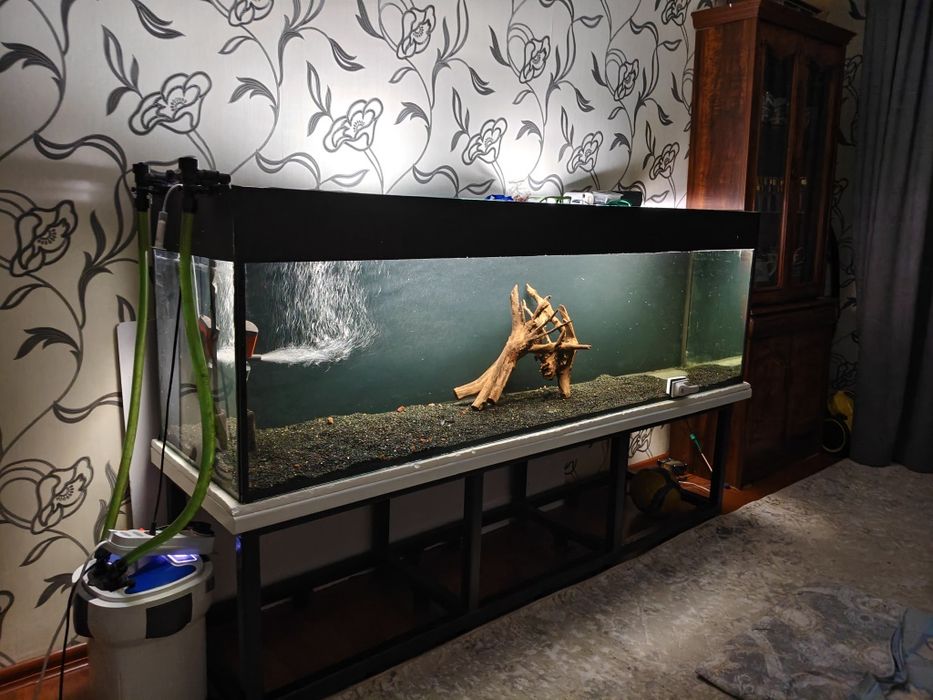 Аквариум 650 литров. Аквариум 600