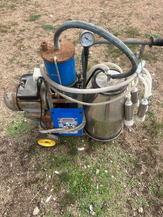 Доильный аппарат для коров Зорька
