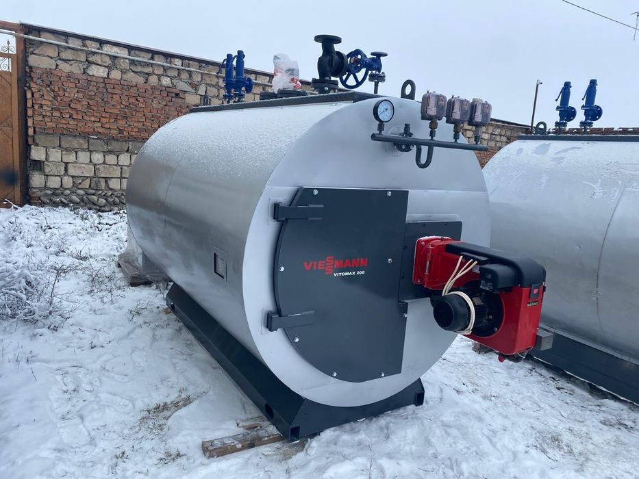 Паровые котлы Viessmann,Loos