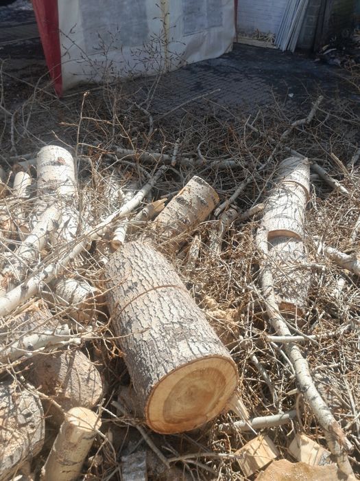 Отдам чурки бесплатно