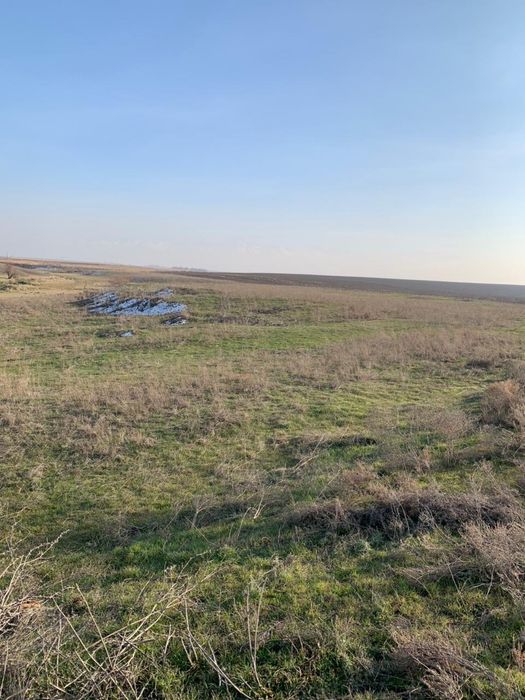 Продам участок 5 гектаров срочна