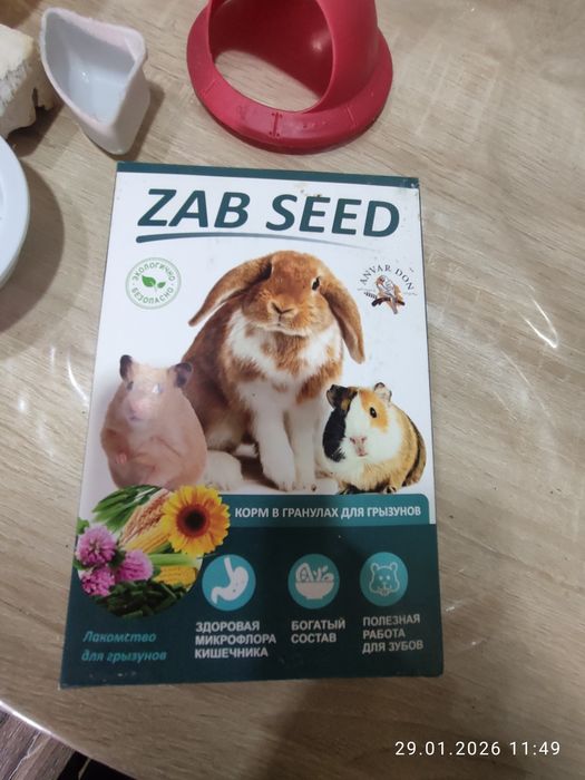 Клетка для джунгарика с аксессуарами