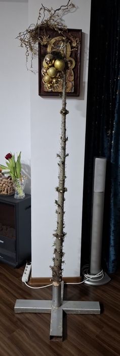 Brad friendly - Avangardist de super sezon