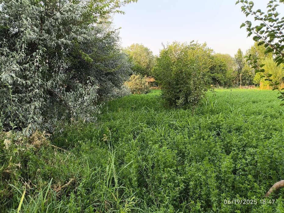 20 sotix yer bandixon , birdamlik mahallasida