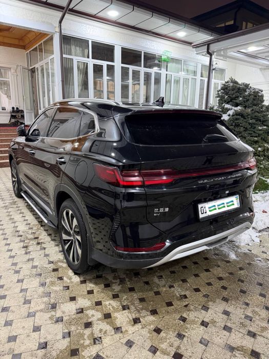 Byd chimpiyon 2024-yil