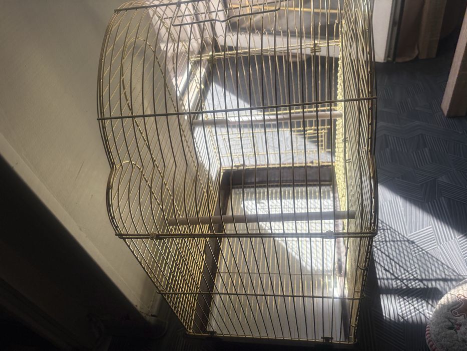 Клетка за корела