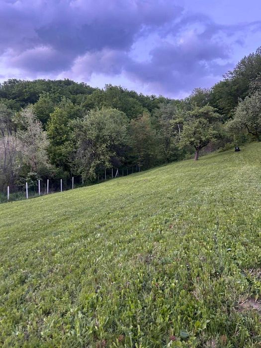 Teren 11.454 mp lângă pădure – Șoimari, Prahova – 4.709 mp intravilan + 6.745 mp extravilan