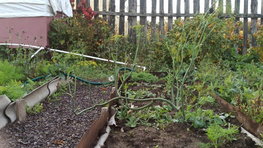 Дача на Фёдоровка