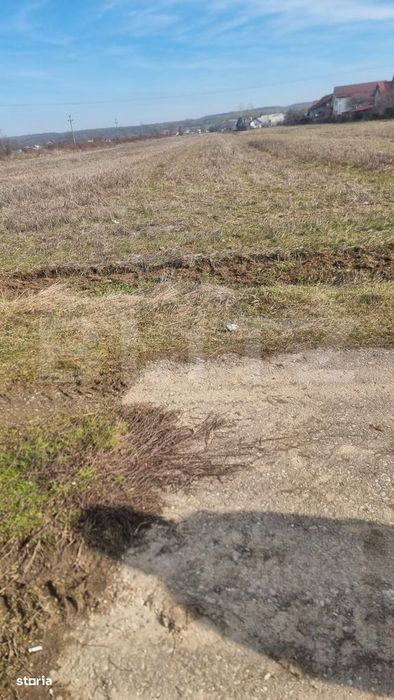 Teren Intravilan Constructii