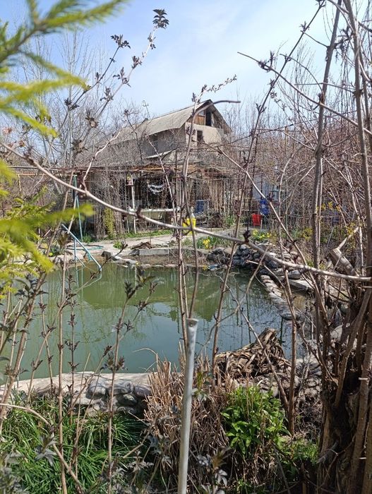 Срочно продам дачу в Майске. Кибрайский район