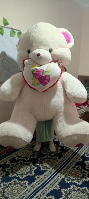 Ayiq. Katta õyinchoq ayiq
