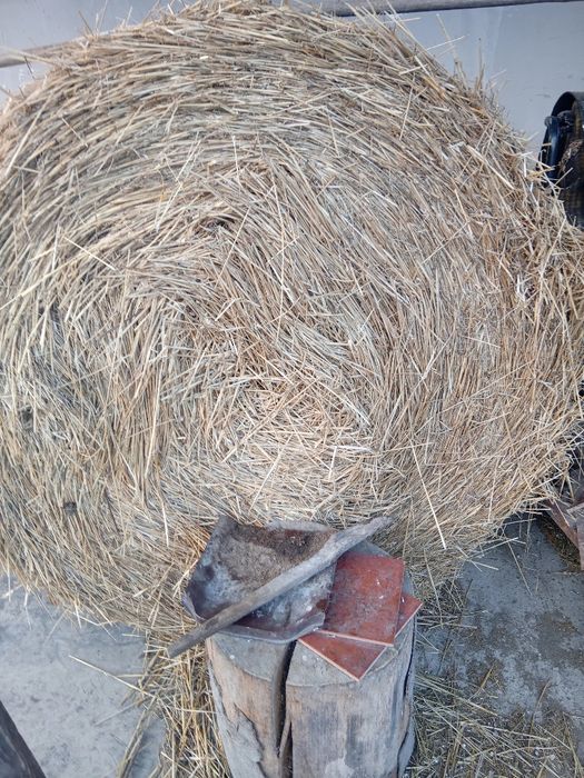 Vând balot de paie grâu
