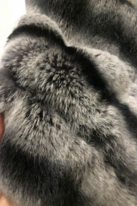 Срочно Шуба рекс