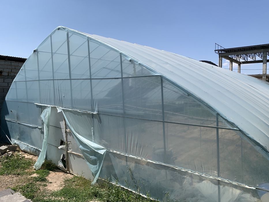 Теплица 2019 г