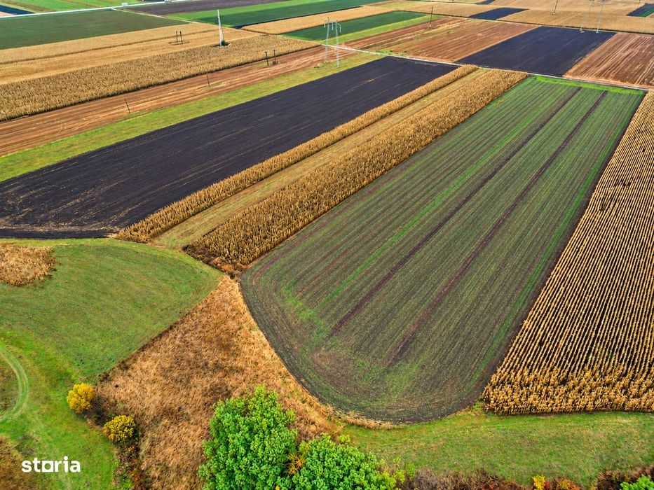 Teren extravilan de 24.000 m² de vânzare în Comolău!