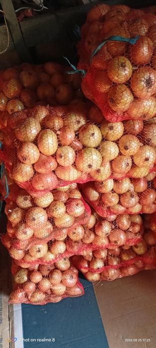 Ceapă  de vânzare