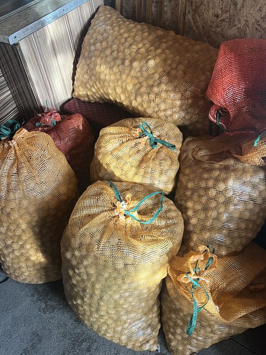 Грецкий орехи семь мешков сухие