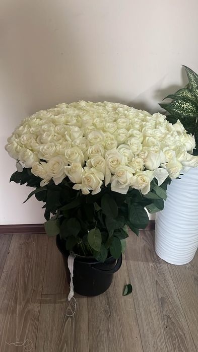 Букет цветок белый роза