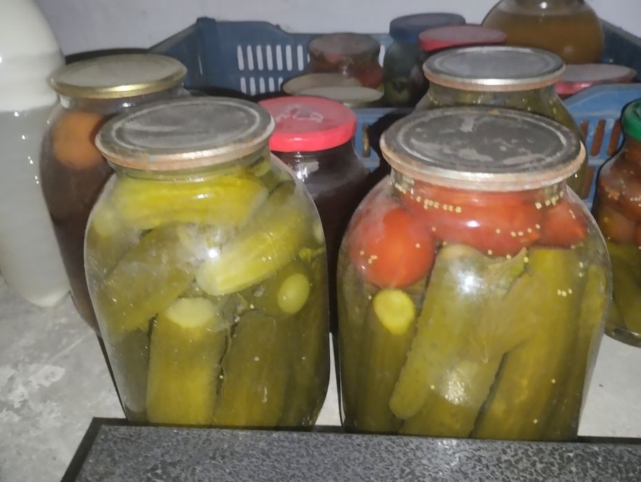 продам огурцы соленые