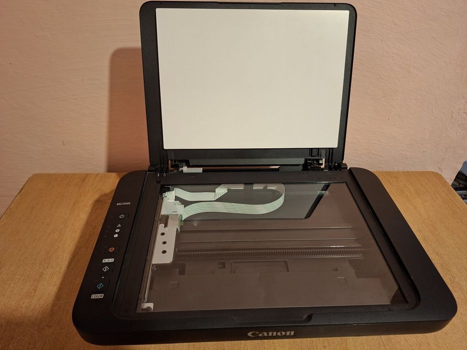 Imprimantă Multifuncțională Canon Pixma MG2550S
