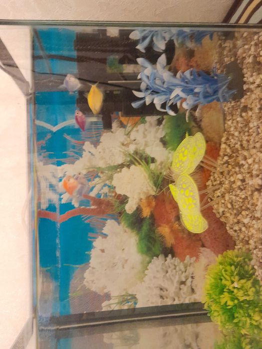 Продам аквариум, 18 литровый