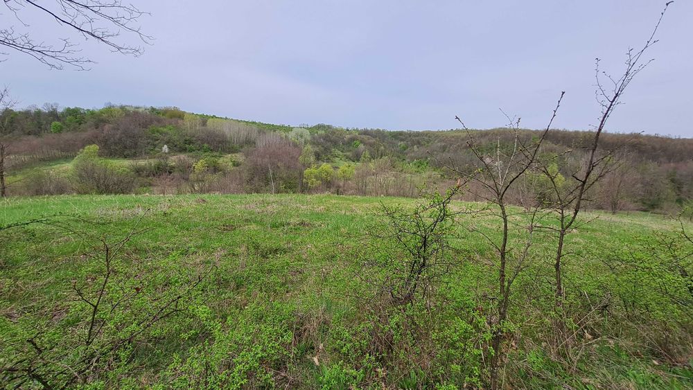 Teren intravilan/extravilan si paduri in Fartatesti, judetul Valcea