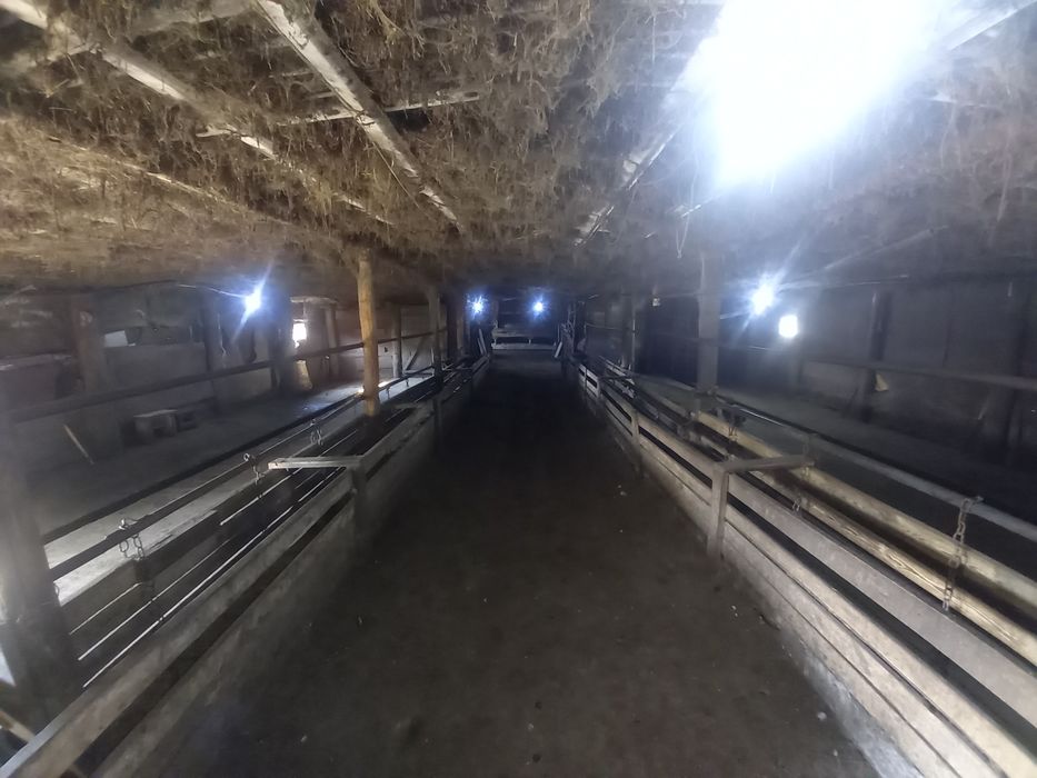 Продаётся действуйщие (к/х ) хозяйства