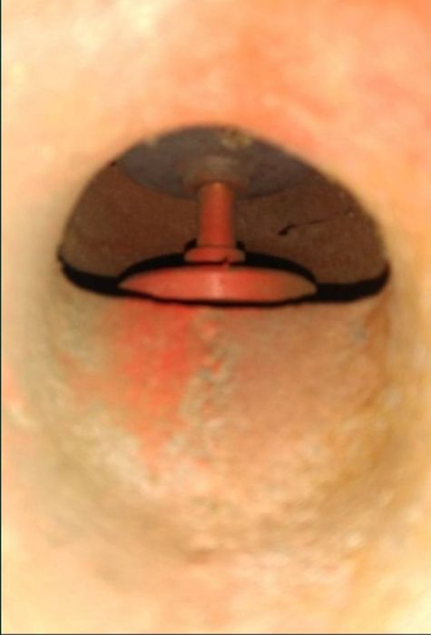 Регулятор температуры РТБ-50 Ду 50