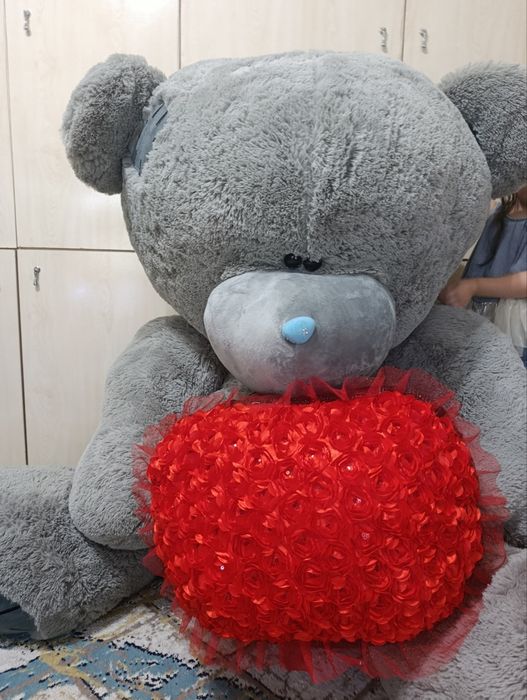 Teddy balandligi 2 m yangi.