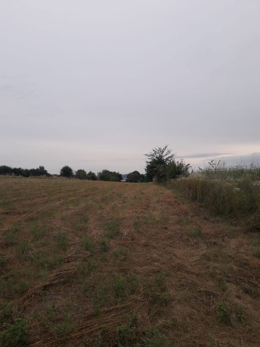 Vand teren Ciurbesti intre padure si case