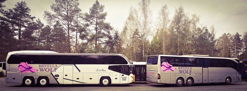 Inchiriem autocar / autocare / microbuze pentru transport persoane