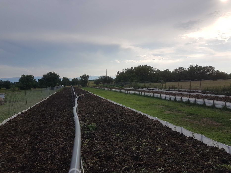 БИОХУМУС И ТЕЧЕН БИОТОР  Червен Калифорнийски Червеи  100% ОРГАНИЧНО